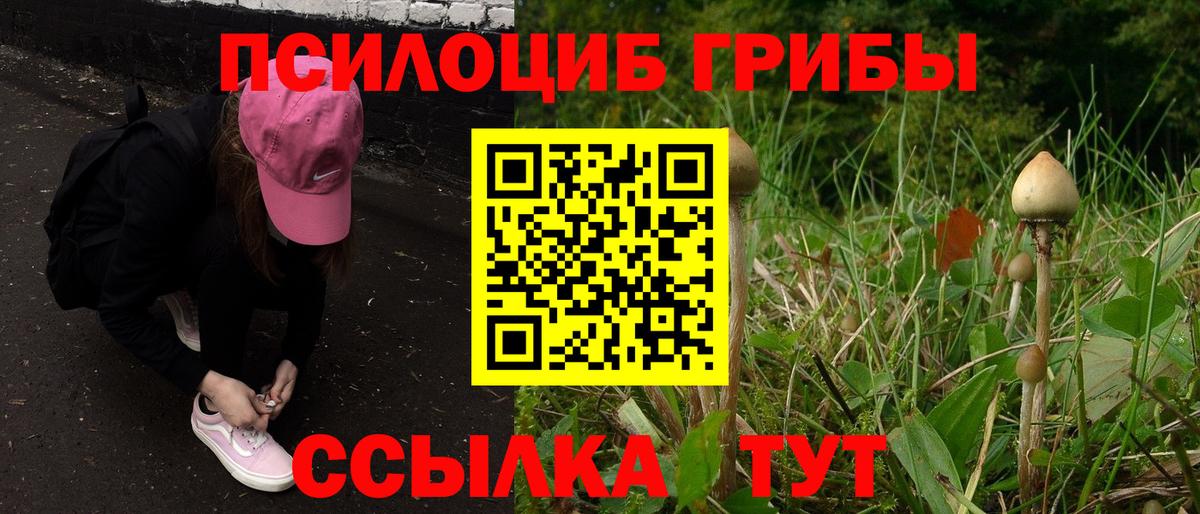 Галлюциногенные грибы Magic Shrooms Химки